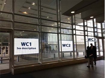Window Cling WC1